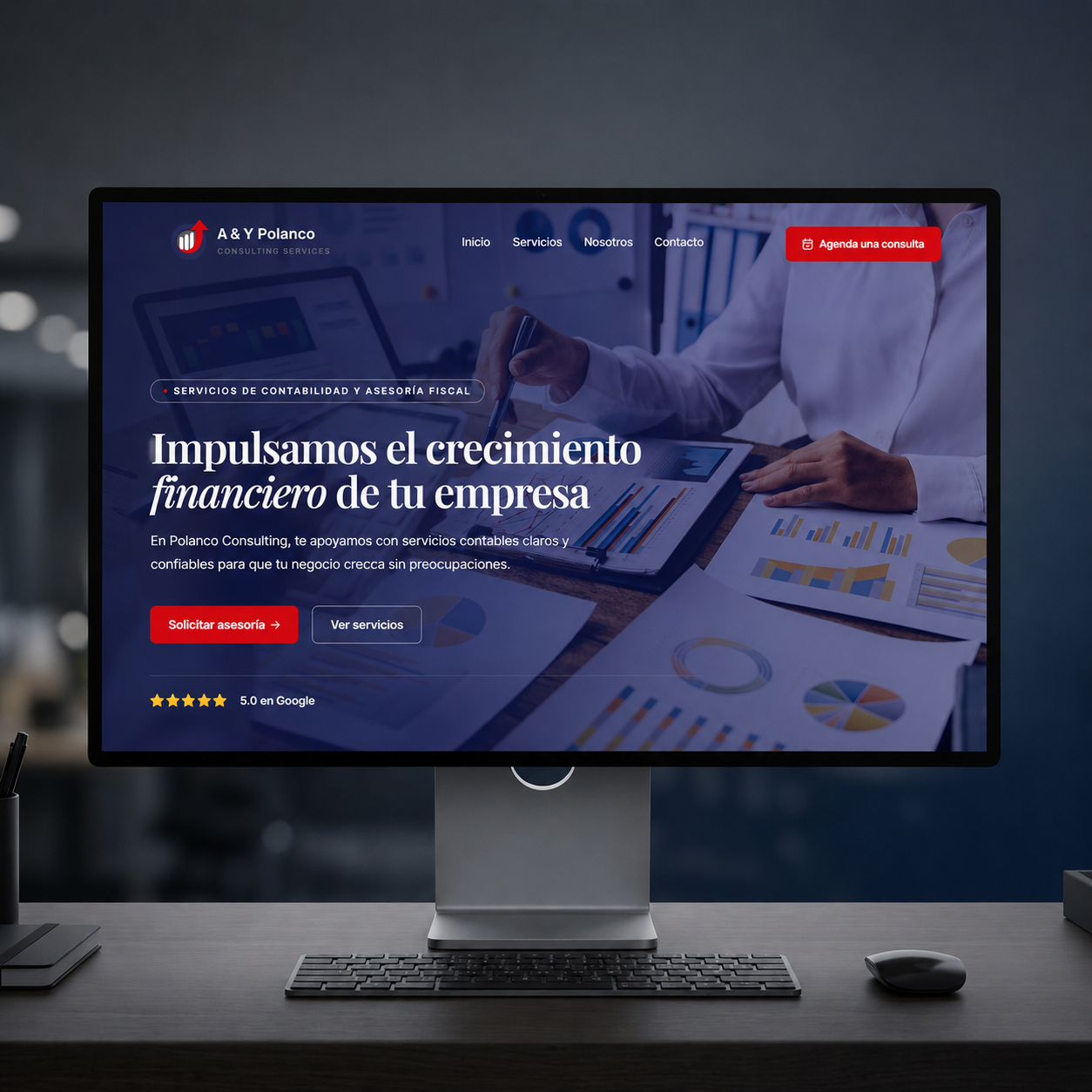 A&Y Polanco â€” Consultoría financiera