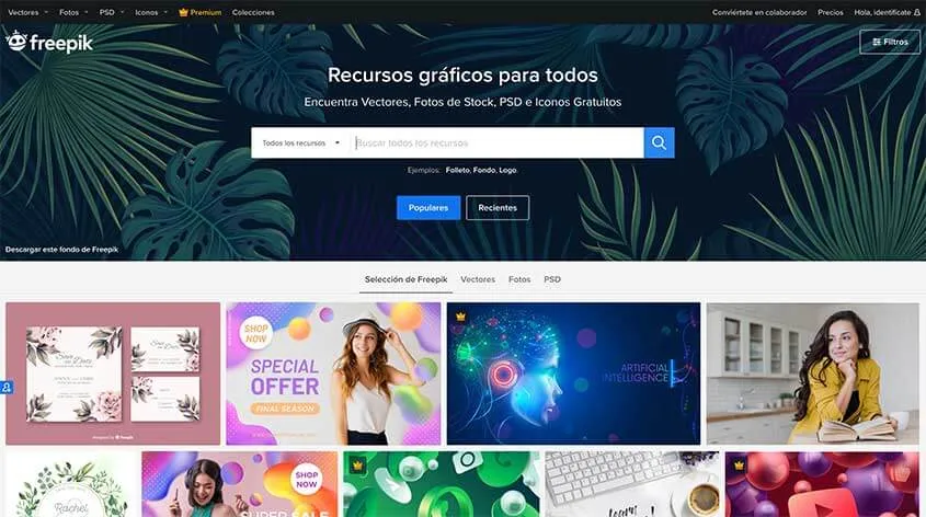 Servicio de desarrollo de sitio web completo a medida